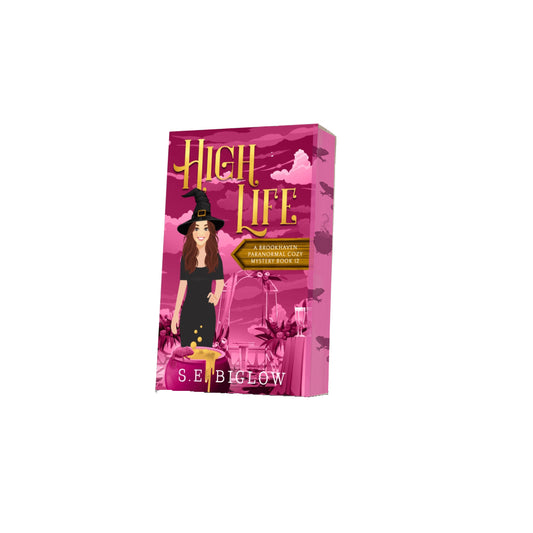 Paperback of High Life with decorative edges by S.E. BIglow on white background